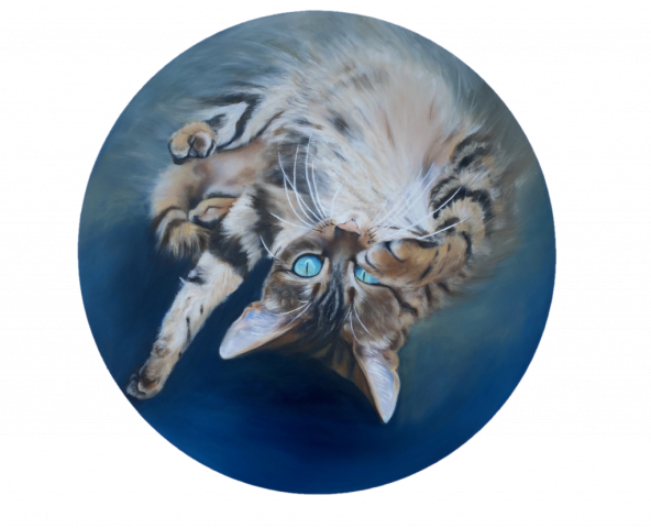 Round Cat