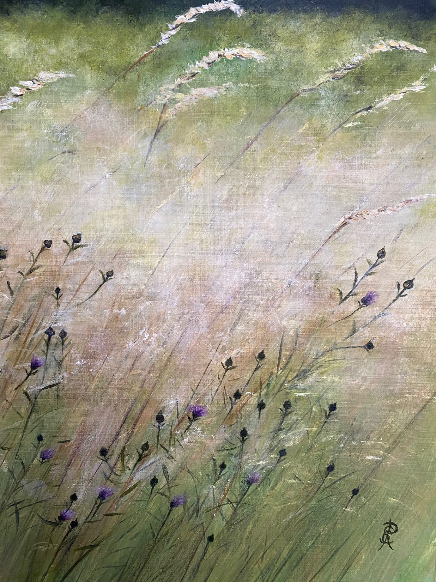 Summer Breeze Summer Breeze