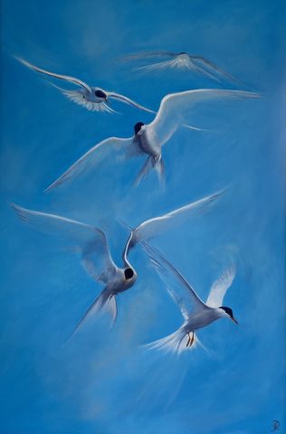 Lift of the Terns